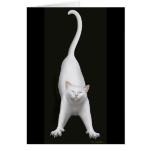 Ausdehnen der weißen Katzen-Karte