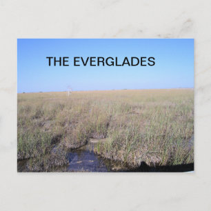AUSDEHNUNG DER EVERGLADES POSTKARTE