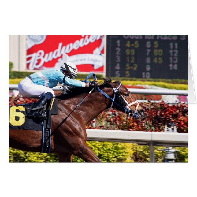 Ausdehnungs-Antrieb (Vorderseite (Horizontal))