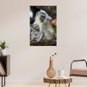 Ausdrucksstarke Vervet-Meerkatze in Afrika Poster