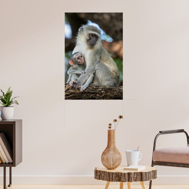 Ausdrucksstarke Vervet-Meerkatze in Afrika Poster (Wohnzimmer 3)