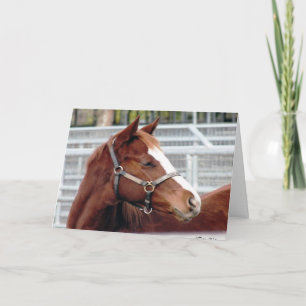 "Auseinander wachsen ändert nicht…" Karte