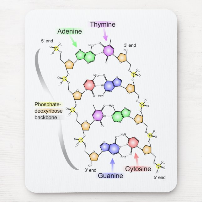 Ausführliches Diagramm der chemischen Struktur von Mousepad (Vorne)