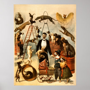 Ausgebildete Hundetat 1899 - Vintage Zirkus-Tat Poster