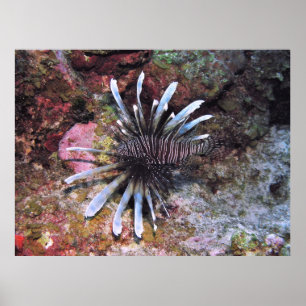 Ausgeblendete Geldbußen Poster