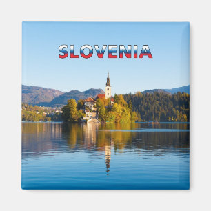 Ausgeblutete 001M Magnet