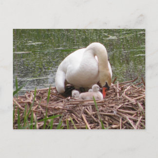 Ausgeburt an die Postkarte für Babys