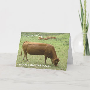 Ausgedehnte Limousine! Karte