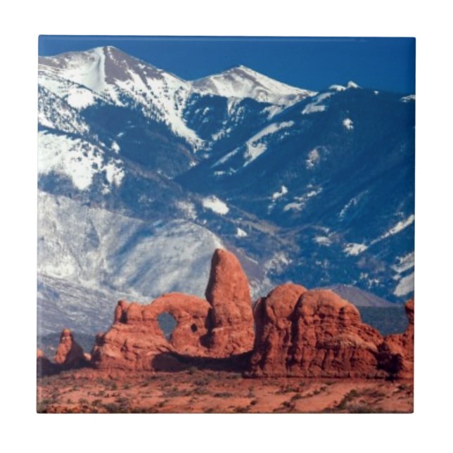 Ausgeglichene Felsen-Spur Fliese (Vorderseite)