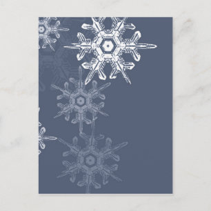 Ausgeklügelte Schneeflocken in Blau/Grau Postkarte