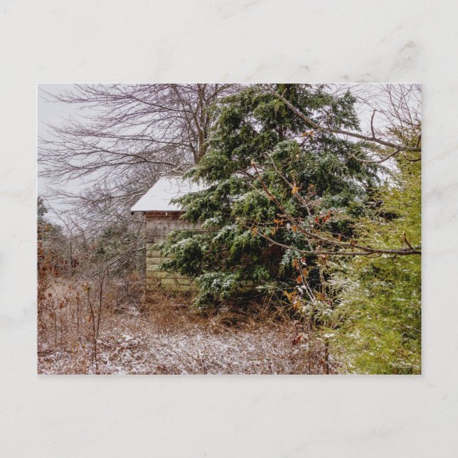 Ausgelassene Postkarte (Vorderseite)