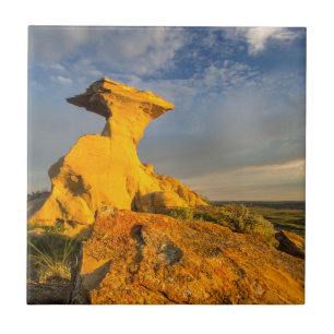 Ausgemesserte Badlands-Formation in Kurzem Gras Fliese