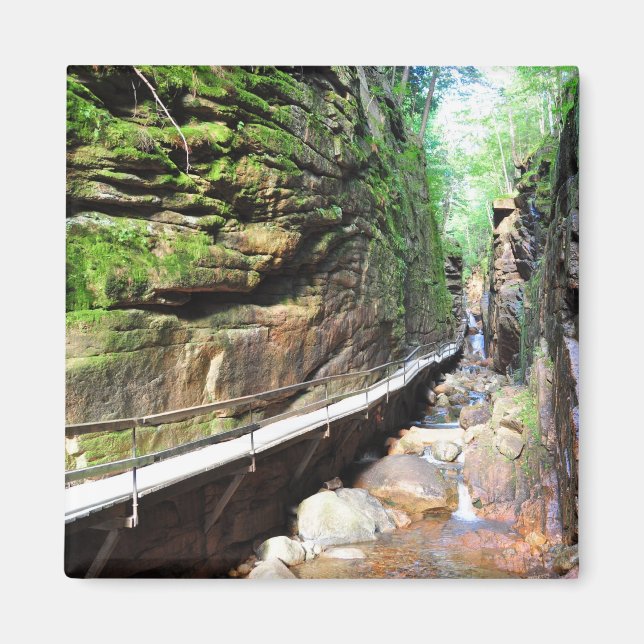 Ausgesetzte Trasse Stream Franconia Notch NH Magne Magnet (Vorne)