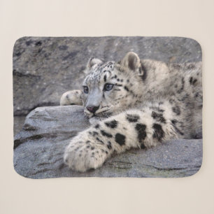 Ausgespielte Sherpa-Decke Sherpadecke