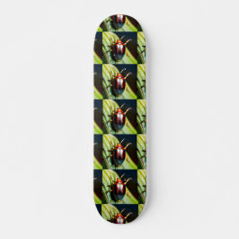 ausgestopft skateboard