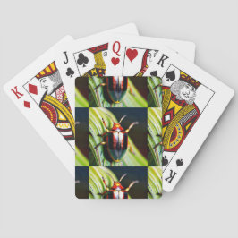 ausgestopft spielkarten