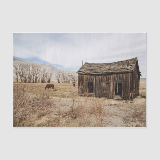 Ausgetragener Stall und Pferde auf einem Feld Seidenpapier (Vorderseite)