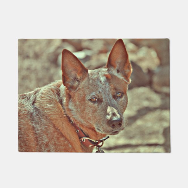 Ausgewachsener männlicher Känguru rote Heller Fußmatte (Vorderseite)