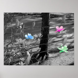 Ausgewählte Blumen Poster