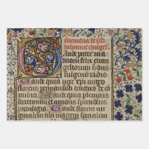 Ausgezeichnete mittelalterliche Illustrierte Manus Geschenkpapier Set