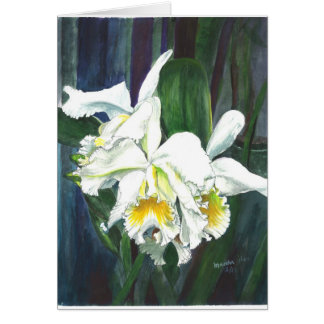 Ausgezeichnete Orchideen