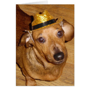 AUSGEZEICHNETER MICKEY COWBOY