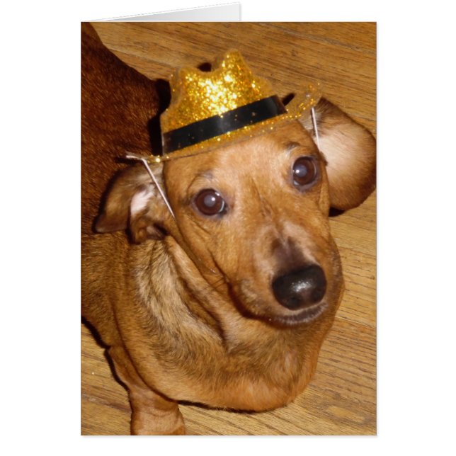 AUSGEZEICHNETER MICKEY COWBOY (Vorne)