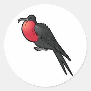 Ausgezeichnetes Frigatebird Runder Aufkleber