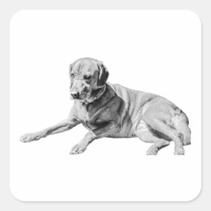 Ausgezogener Hund, Chill Vibe Quadratischer Aufkleber