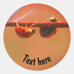 Ausgleich Ladybugs Natur Personalisiert Runder Aufkleber