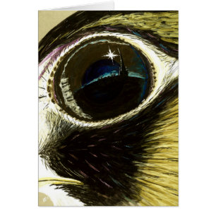 Ausländischer Augenfreier raum