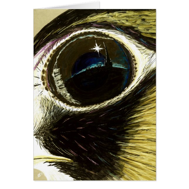 Ausländischer Augenfreier raum (Vorne)