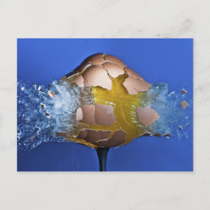 ausnahmsweise postkarte