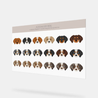 Aussalier-Hundmischung Acrylschild