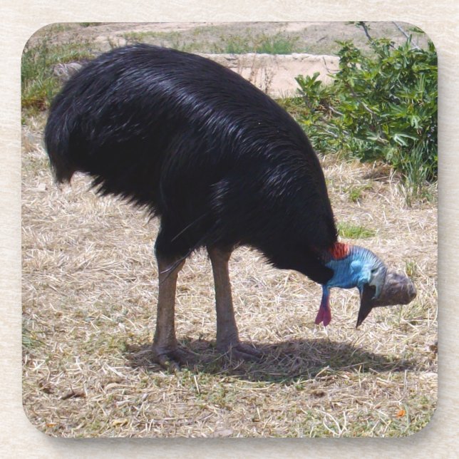 Ausscheider von Bird-of-Prey Getränkeuntersetzer (Vorderseite)