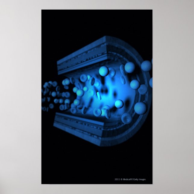 Ausschliessliche Ansicht von Blutkörperchen in ein Poster (Vorne)