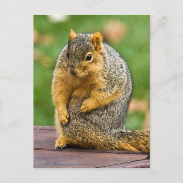 Ausschneiden Postkarte (Vorderseite)