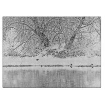 Ausschnitt-Brett-GlasWestern-Winter-Baum-Fluss