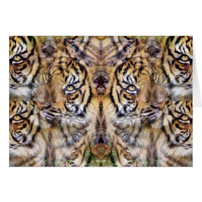 Aussehen_ (Vorderseite (Horizontal))