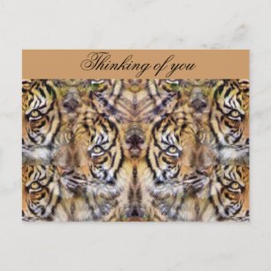 Aussehen_ Postkarte