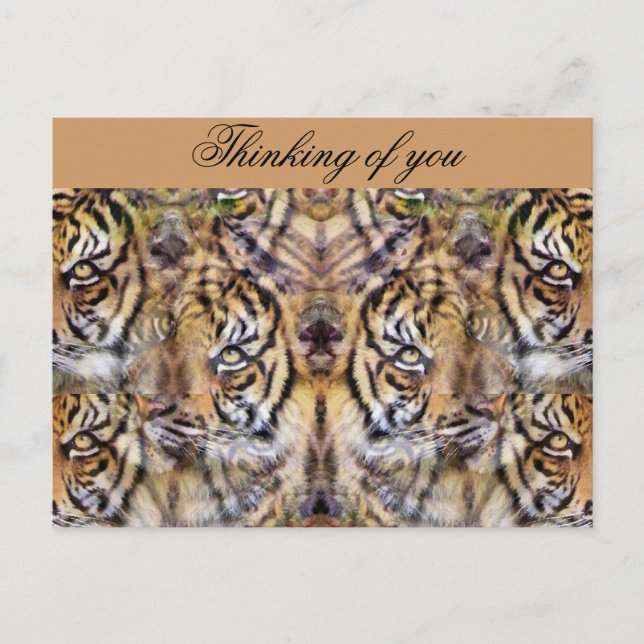 Aussehen_ Postkarte (Vorderseite)
