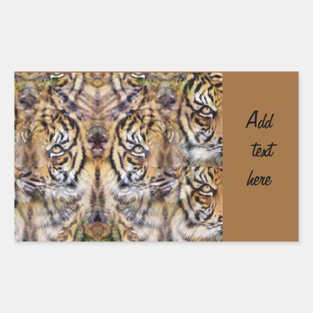 Aussehen_ Rechteckiger Aufkleber (Vorderseite)