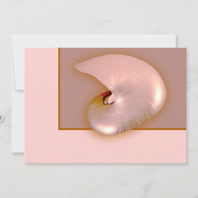 Außen Nautilus (Vorderseite)