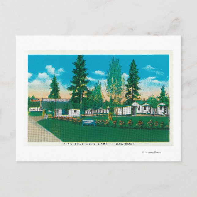 Außenansicht des Pine Tree Auto Camp Postkarte (Vorderseite)