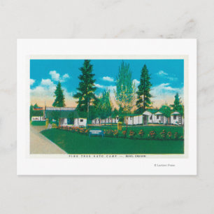 Außenansicht des Pine Tree Auto Camp Postkarte