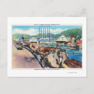 Außenansicht von Pacific Lumber Co, Redwood Postkarte