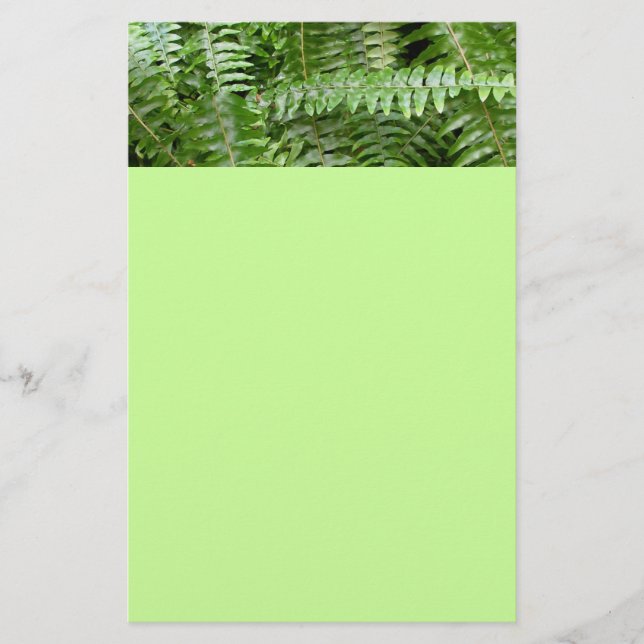 Außengrenzen I Grüne Natur Briefpapier (Vorderseite)