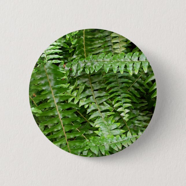 Außengrenzen I Grüne Natur Button (Vorderseite)