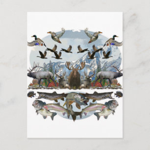 Außenleben Postkarte