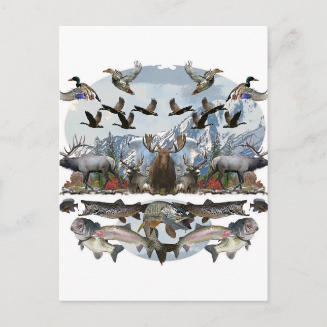 Außenleben Postkarte (Vorderseite)